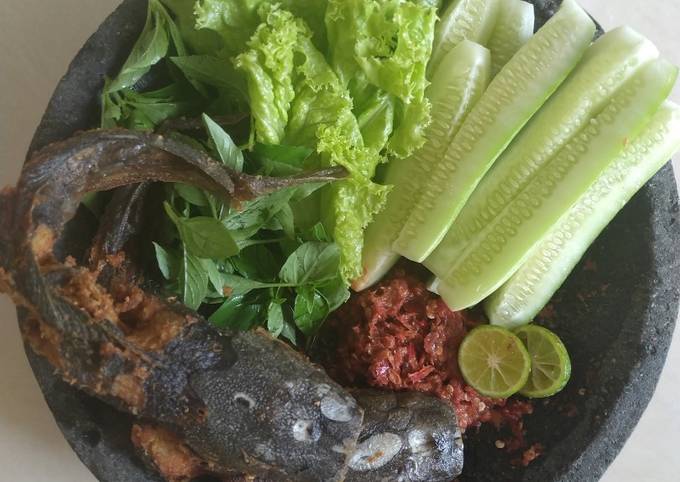 Cara Buat Lele goreng bawang dan Sambel Limau Menu Enak