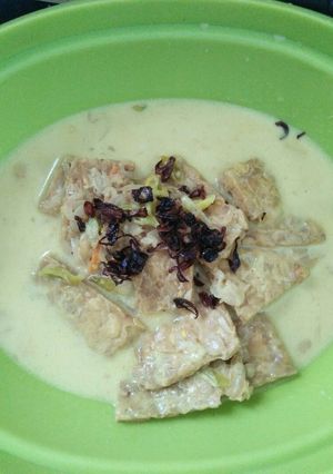 Foto resep Kebun Tempe Kuah Santan Praktis