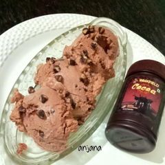 A picture of Chocochip chocolate Icecream.