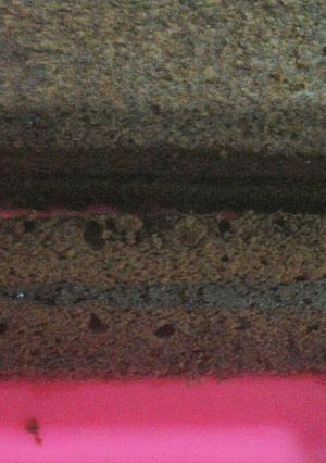 Foto resep Brownis coklat step by step