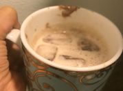 A picture of dessert hot and cold