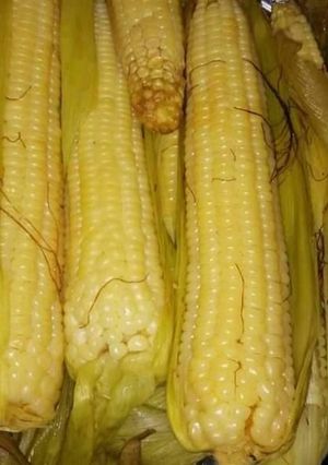 A picture of Boiled maize.