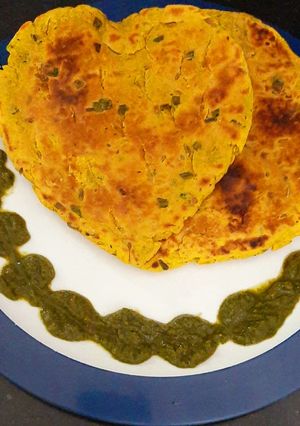A picture of Healthy Hara Lahsuni Bhakhri.