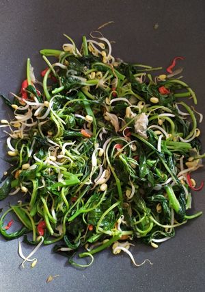 Foto resep Oseng bayam tauge