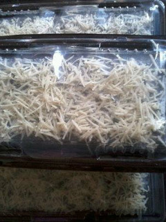 Foto resep Bolu Kukus Ketan Hitam