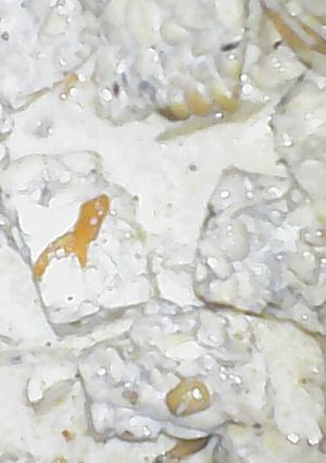 Foto resep Lodeh tempe teri