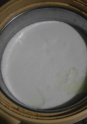 A picture of Home Made Dahi.