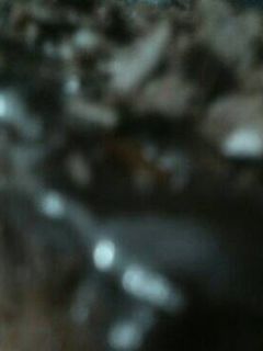 صورة لوصفة كيك بالشكولاته