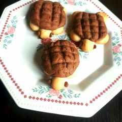 Turtle cookies A picture of Turtle cookies.