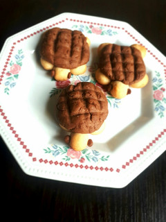 A picture of Turtle cookies.