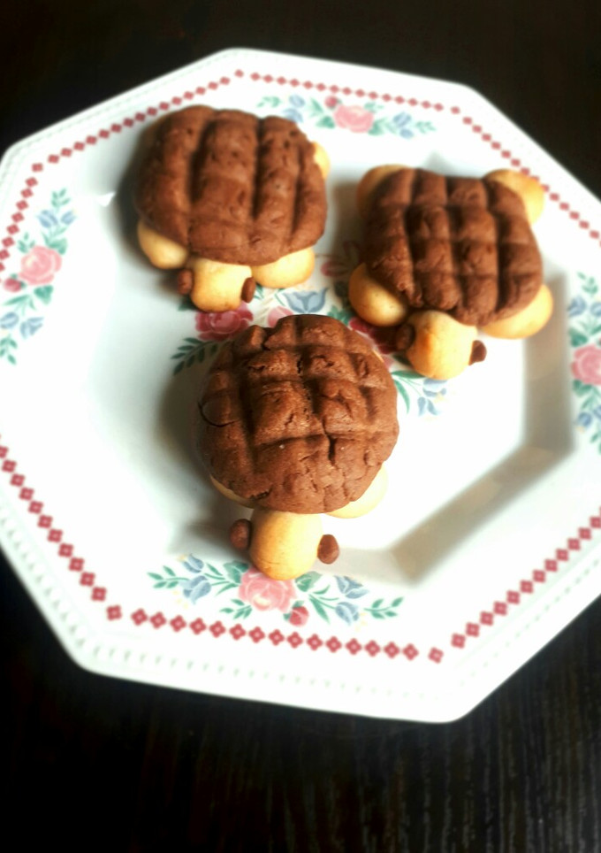 A picture of Turtle cookies.