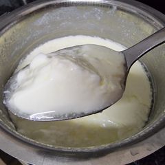 How to make curd A picture of How to make curd.
