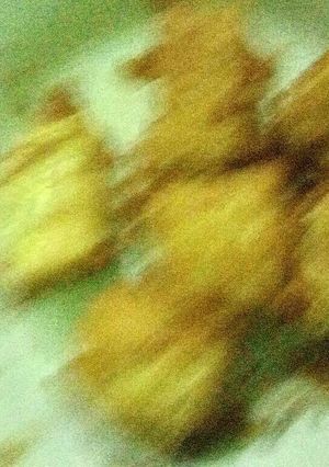Foto resep Tahu goreng tepung keto