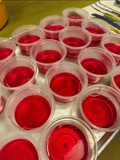 Jelly Kranberi