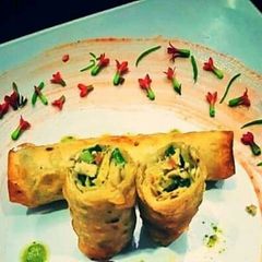 A picture of Spring Roll.