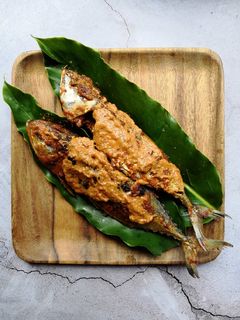 Gambar Ikan Percik