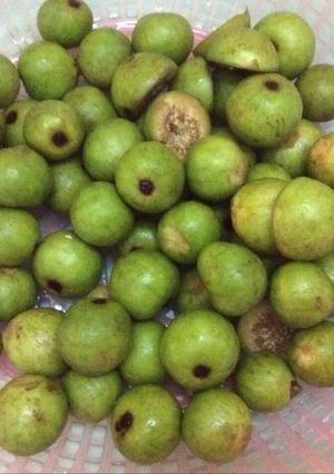 Hình của món Canh trái sung thịt băm.
