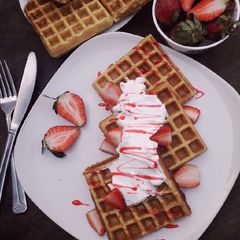 A picture of Waffles.