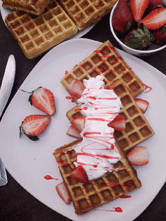 A picture of Waffles.