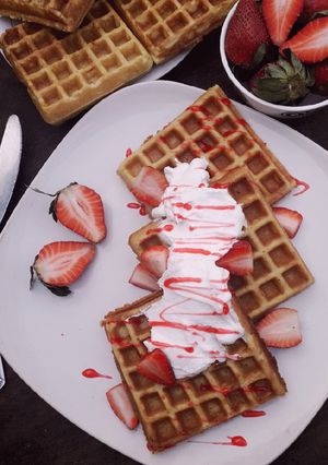 A picture of Waffles.