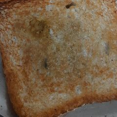 A picture of Roasted bread.