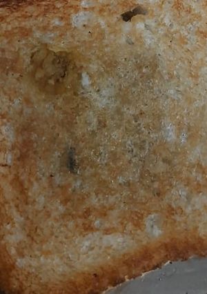 A picture of Roasted bread.