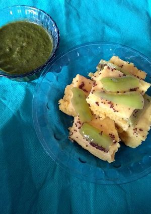 A picture of Khaman Dhokla🍘.