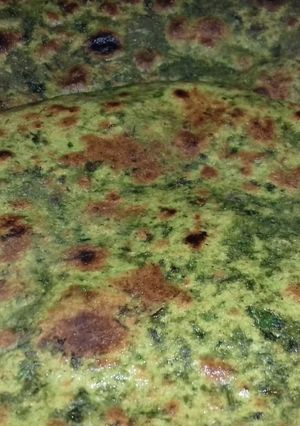 मेथी पराठा (methi paratha recipe in Hindi) रेसिपी मुख्य फोटो