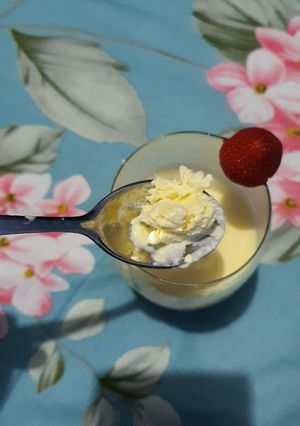 Foto resep Ice cream vanila keto