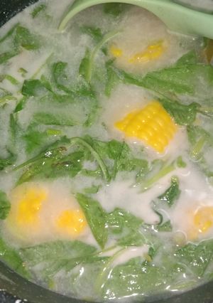 Foto resep Bobor bayam