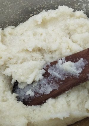 A picture of Ugali.