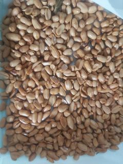 Foto resep Kacang Goreng Bawang Putih