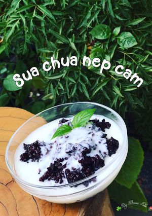 Hình của món Sữa chua nếp cẩm.