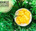 Ảnh đại đại diện món Ăn Dặm - Mango Custard
