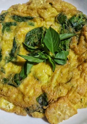 Foto resep Telur Dadar Tempe Kemangi
