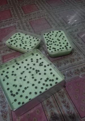 Foto resep Pudding terapung vla coklat
