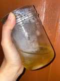Es Fermentasi Nanas dan Madu (Minuman Kesehatan)