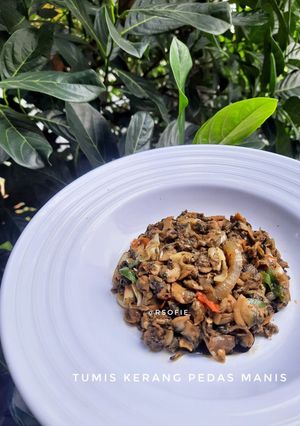 Foto resep Tumis Kerang Pedas Manis