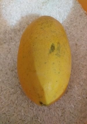 Foto resep Membuat Pepaya Matang