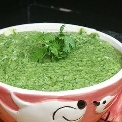 A picture of Avocado sauce _dip.