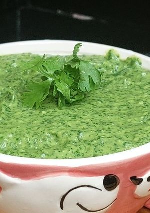 A picture of Avocado sauce _dip.