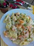 Penne com camarão e molho branco