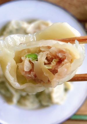 A picture of Pork and Cabbage Dumplings (Shuijiao) + How to Cook Dumplings.