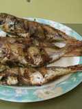 Ikan goreng jangki