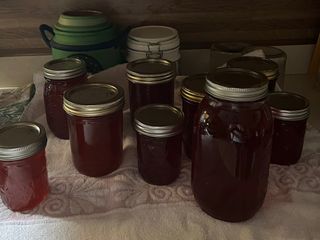 Persimmon Jam