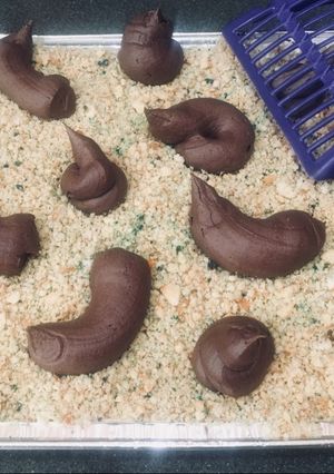 A picture of Kitty Litter.