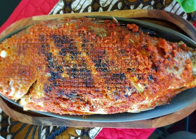 Jimbaran grilled red snapper fish