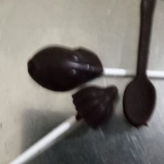 A picture of Instant Chocolate/Chocopop/Modakpop.