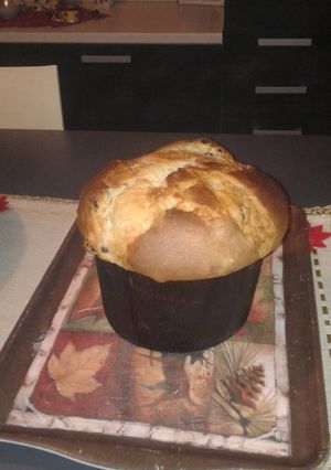 A picture of Homemade Panettone.