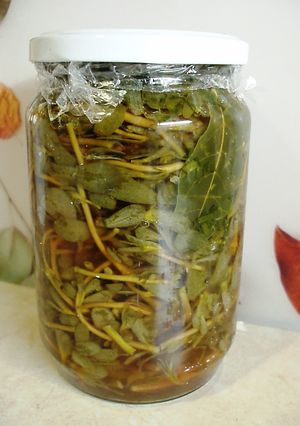 Fermentált, savanyított kövér porcsin recept fotója